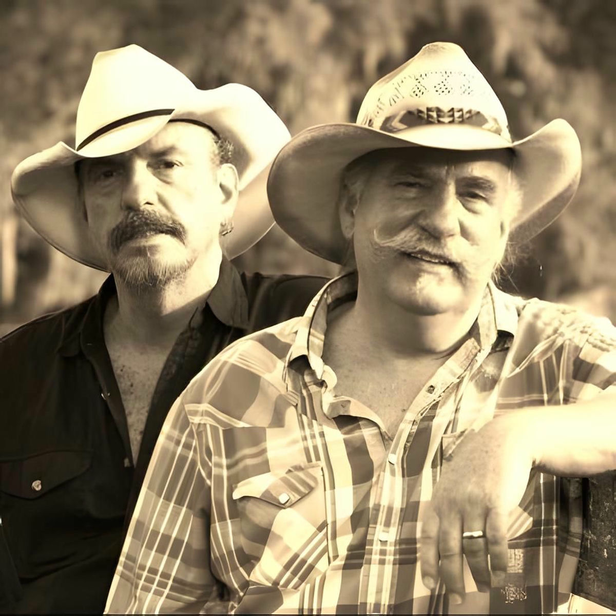 Artist picture of The Bellamy Brothers
