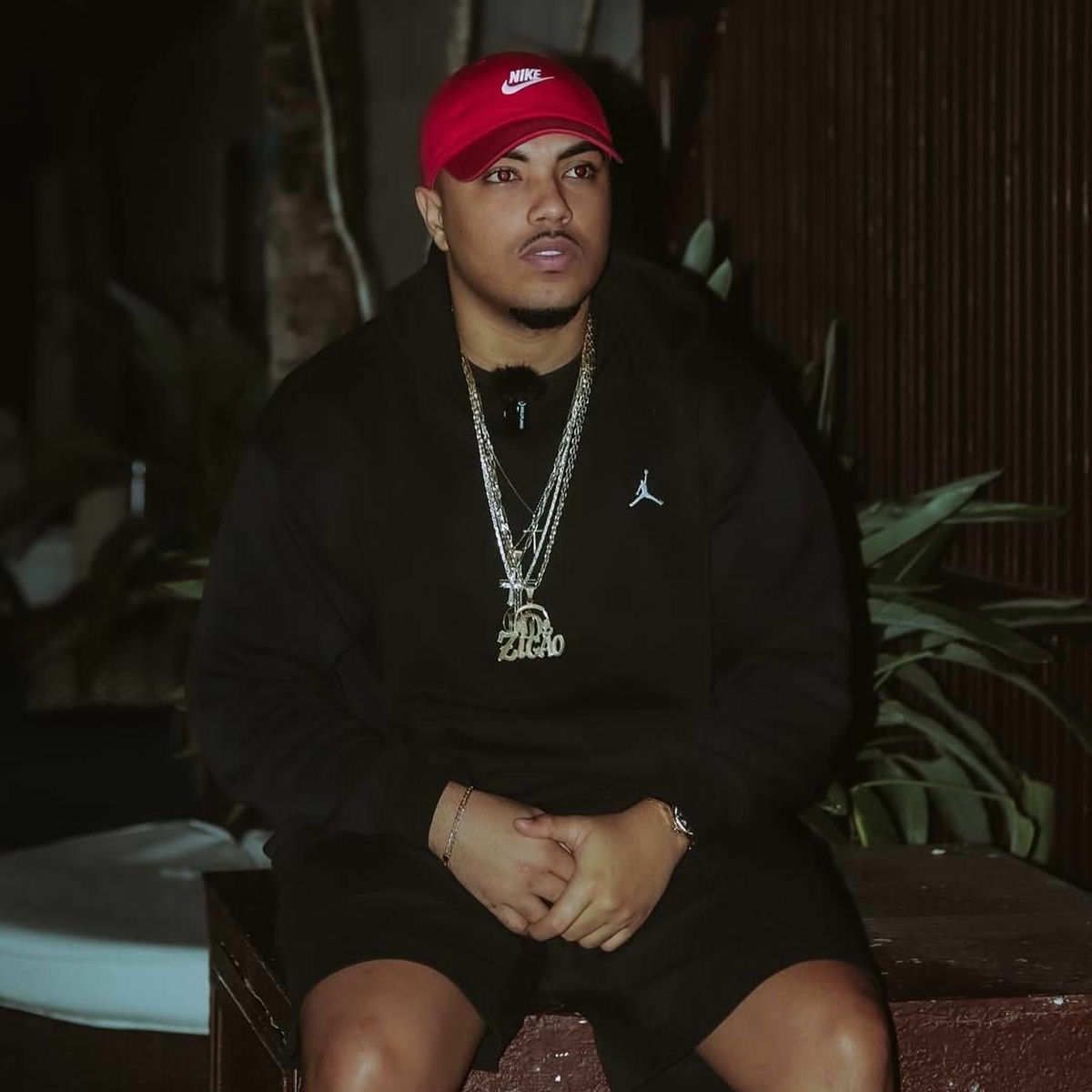 Artist picture of DJ Zigão