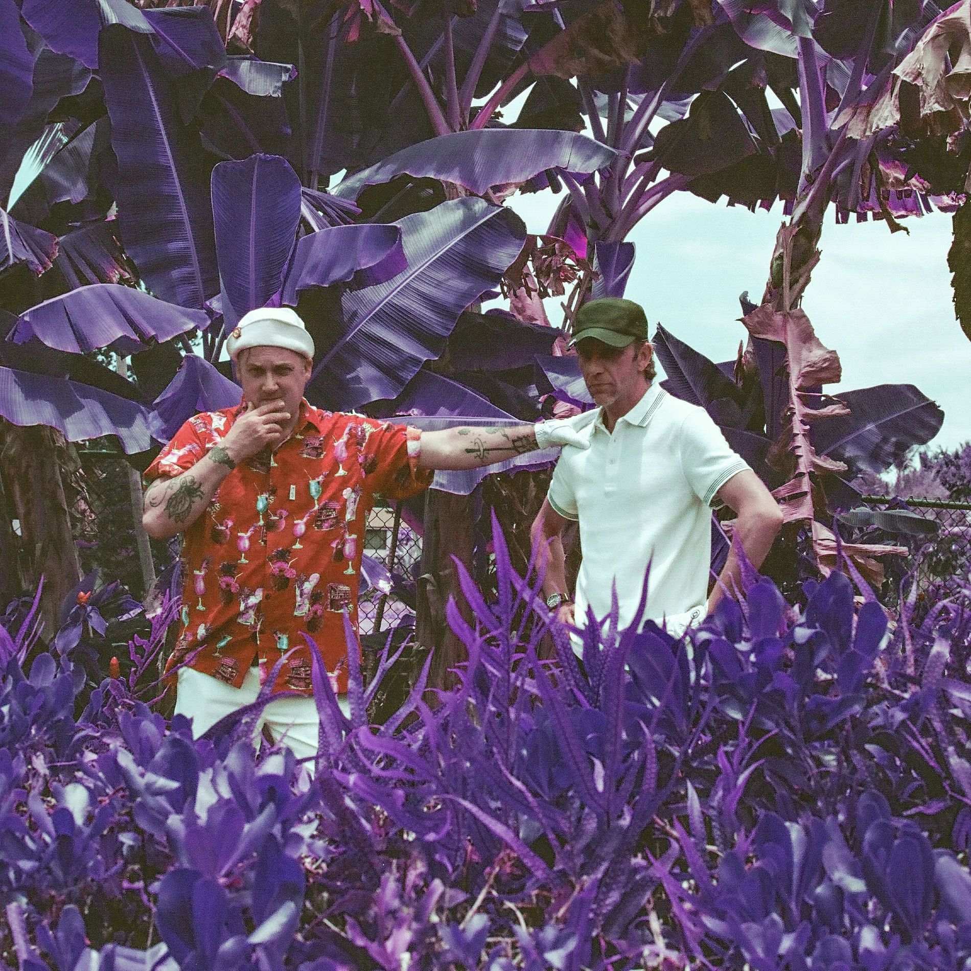 Artist picture of Modest Mouse