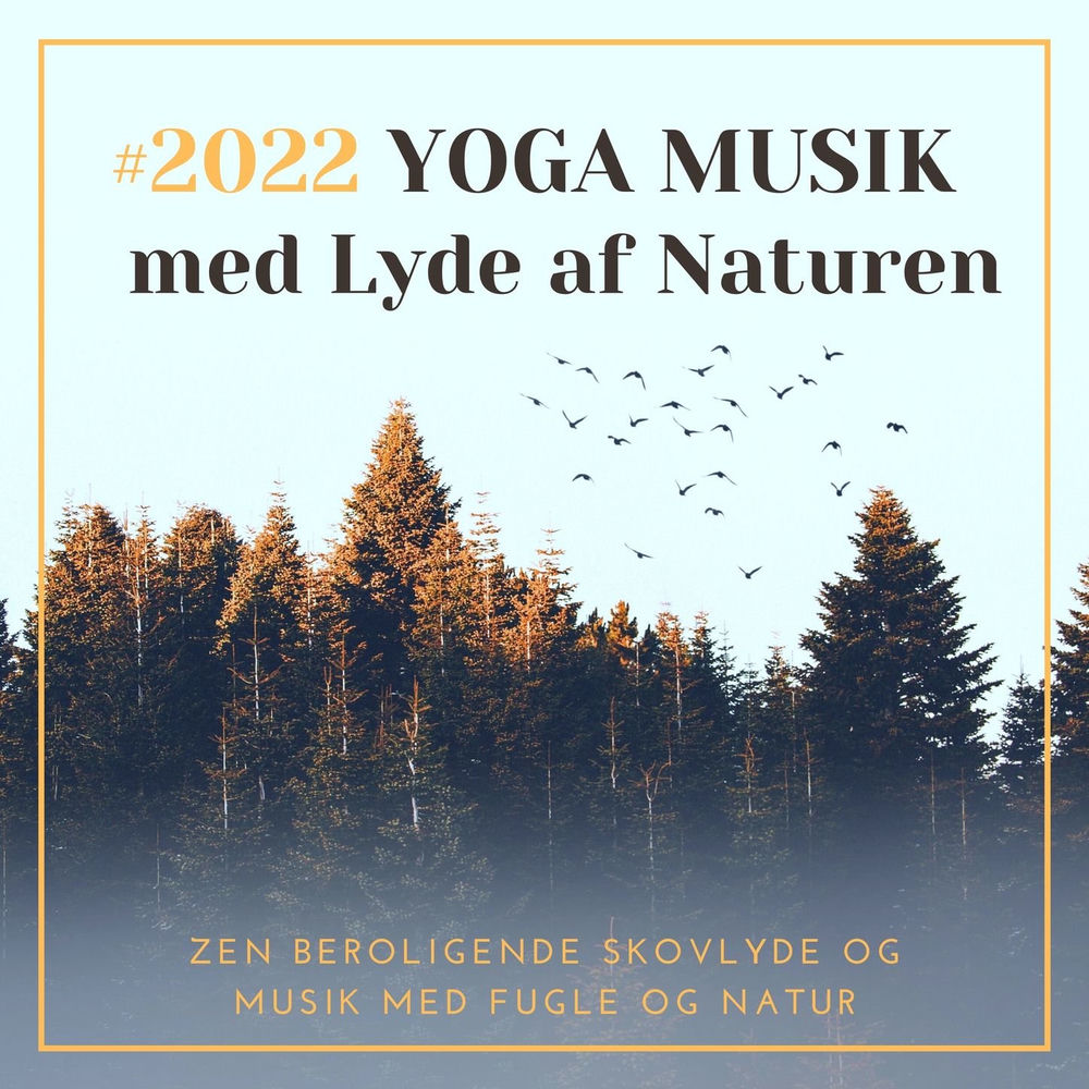 Yoga Break