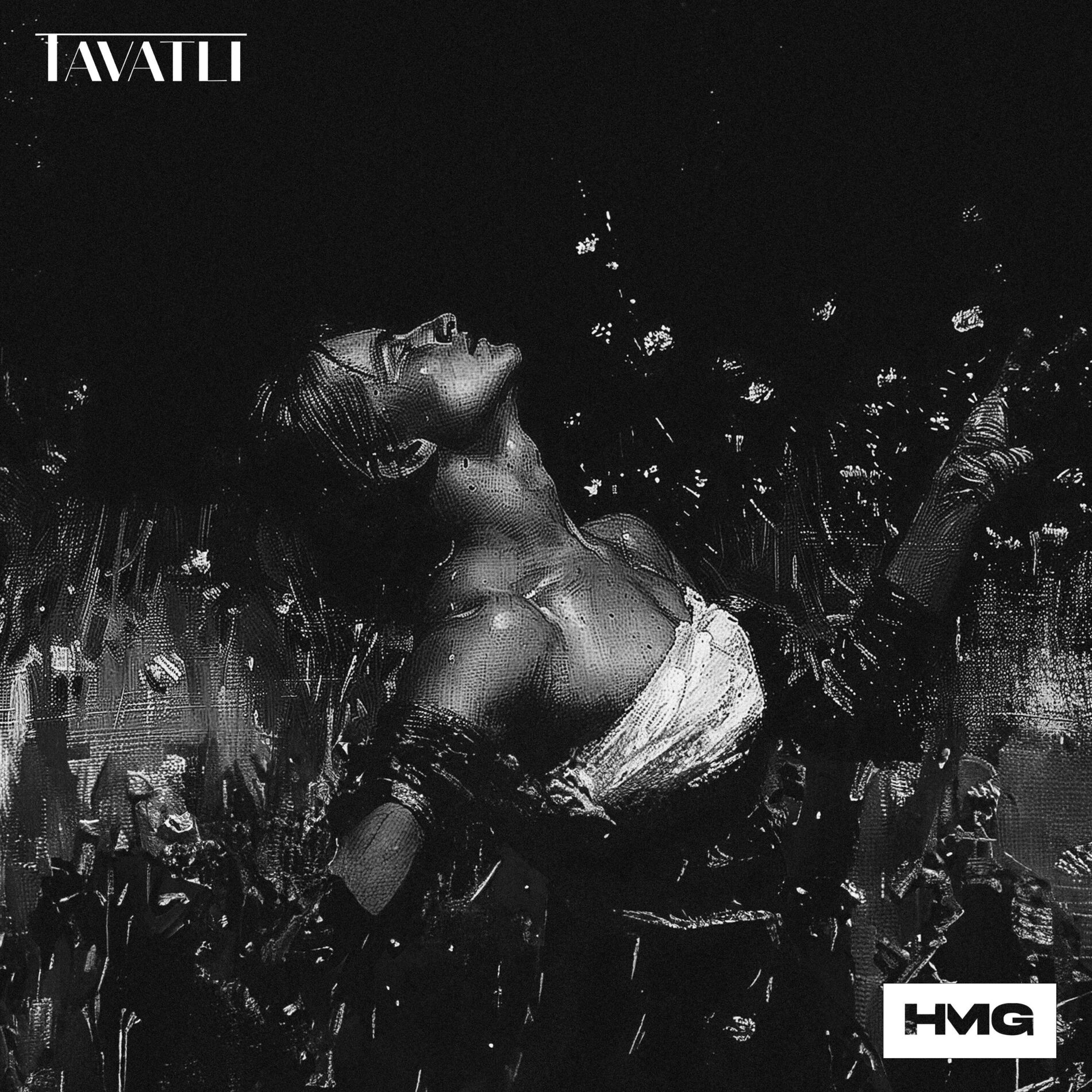 Artist picture of Tavatli