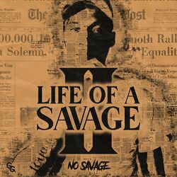 Picture of NO Savage