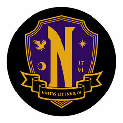 Picture of Nevermore Academy Orchestra