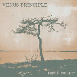 Picture of Venus Principle