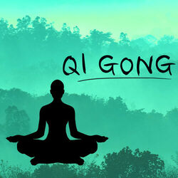 Picture of Qi Gong Academy