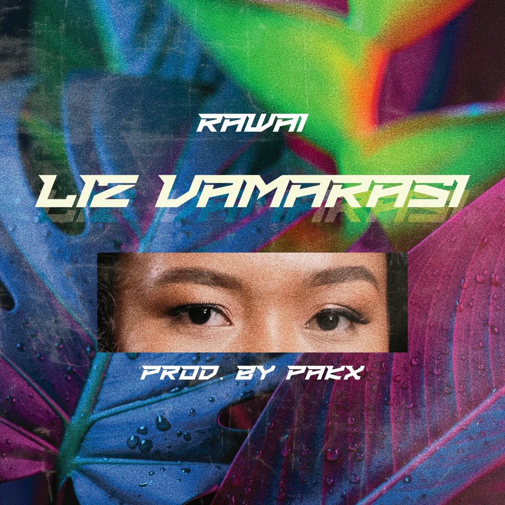 Photo de l'artiste Liz Vamarasi