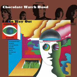 Picture of The Chocolate Watch Band