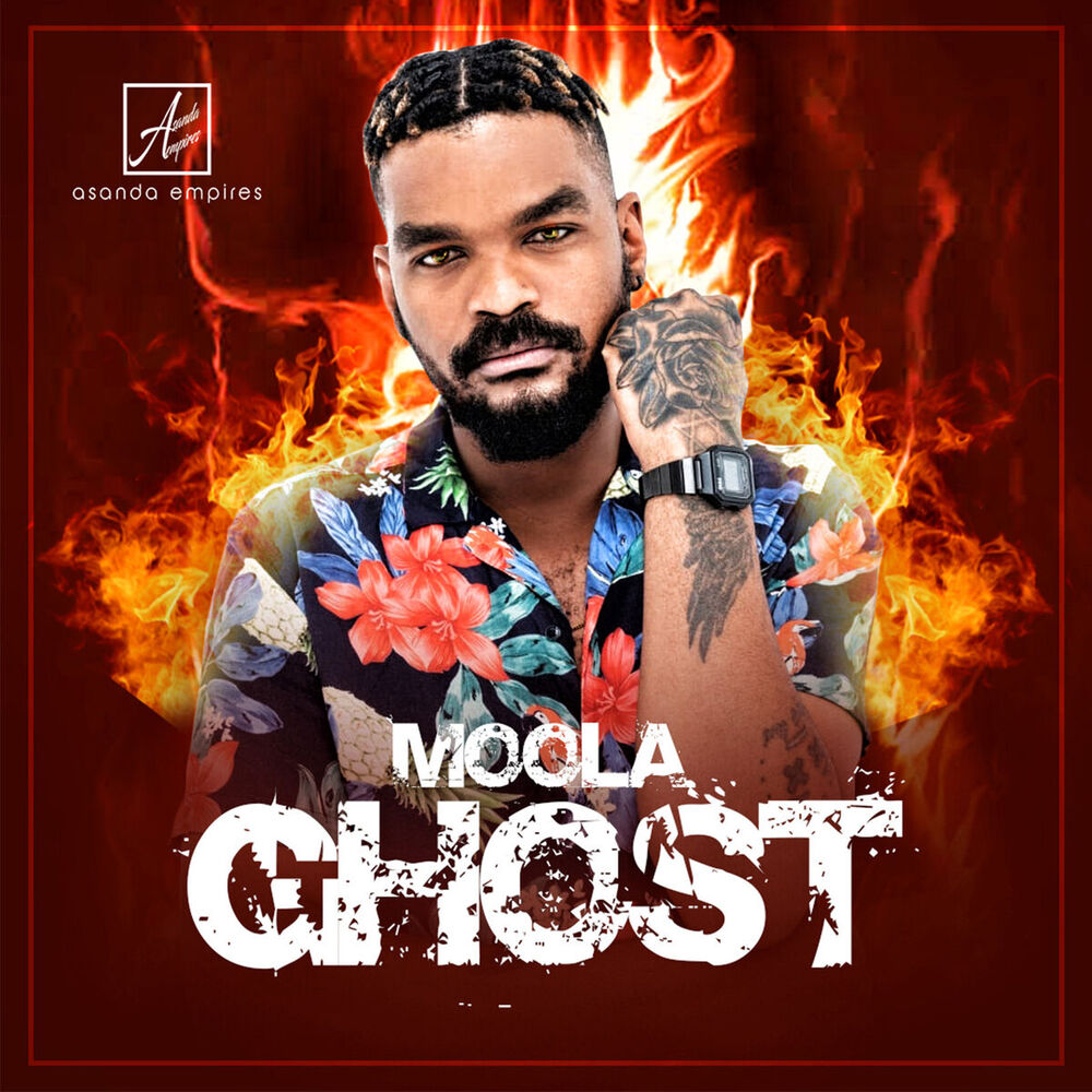 Picture of Moola