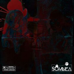 Picture of Somnea