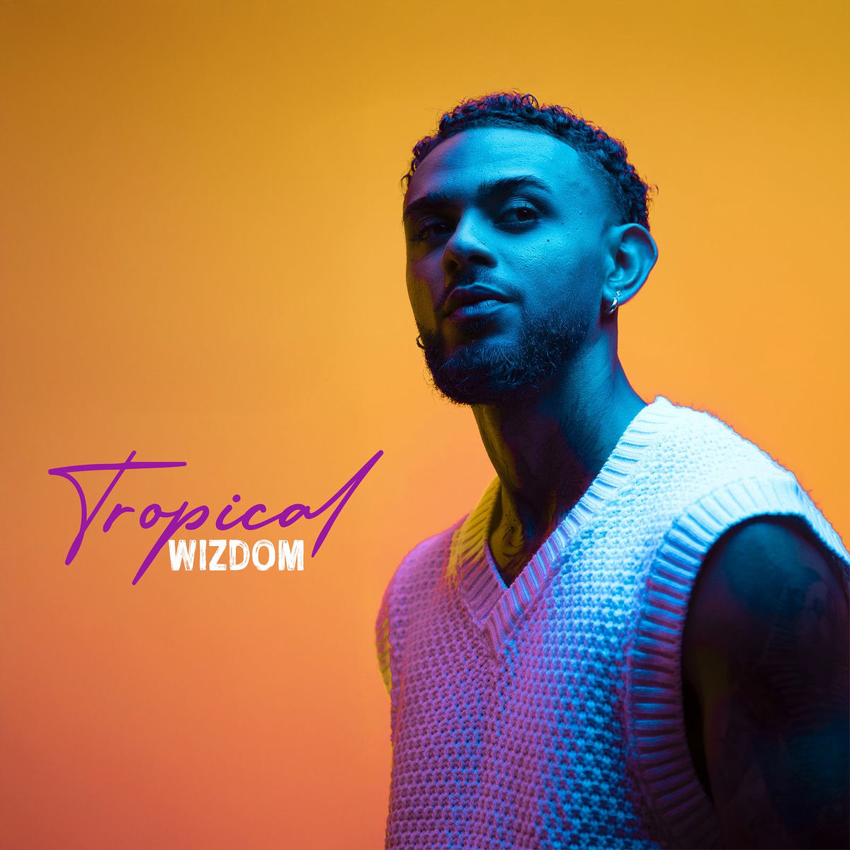 Wizdom