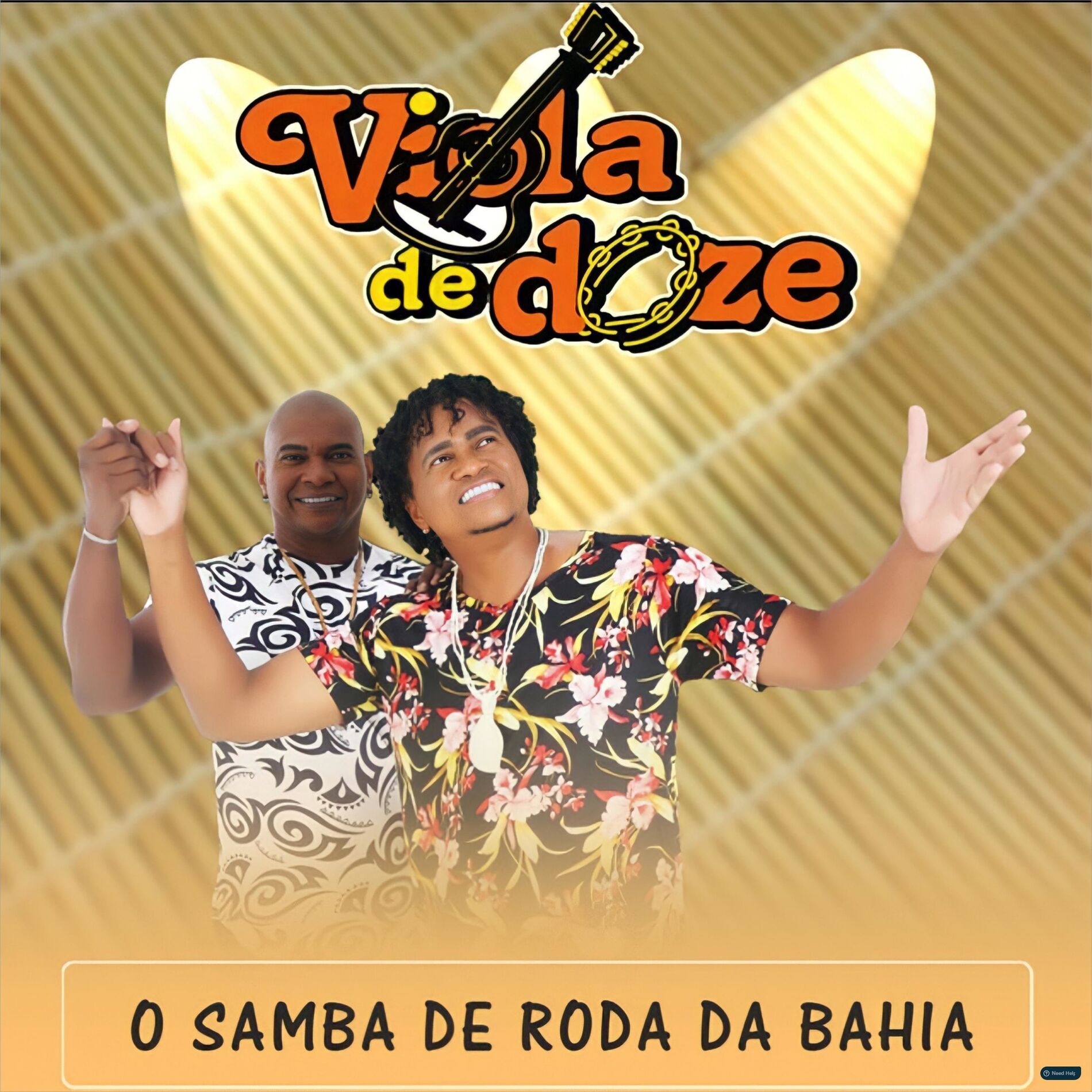Viola de Doze