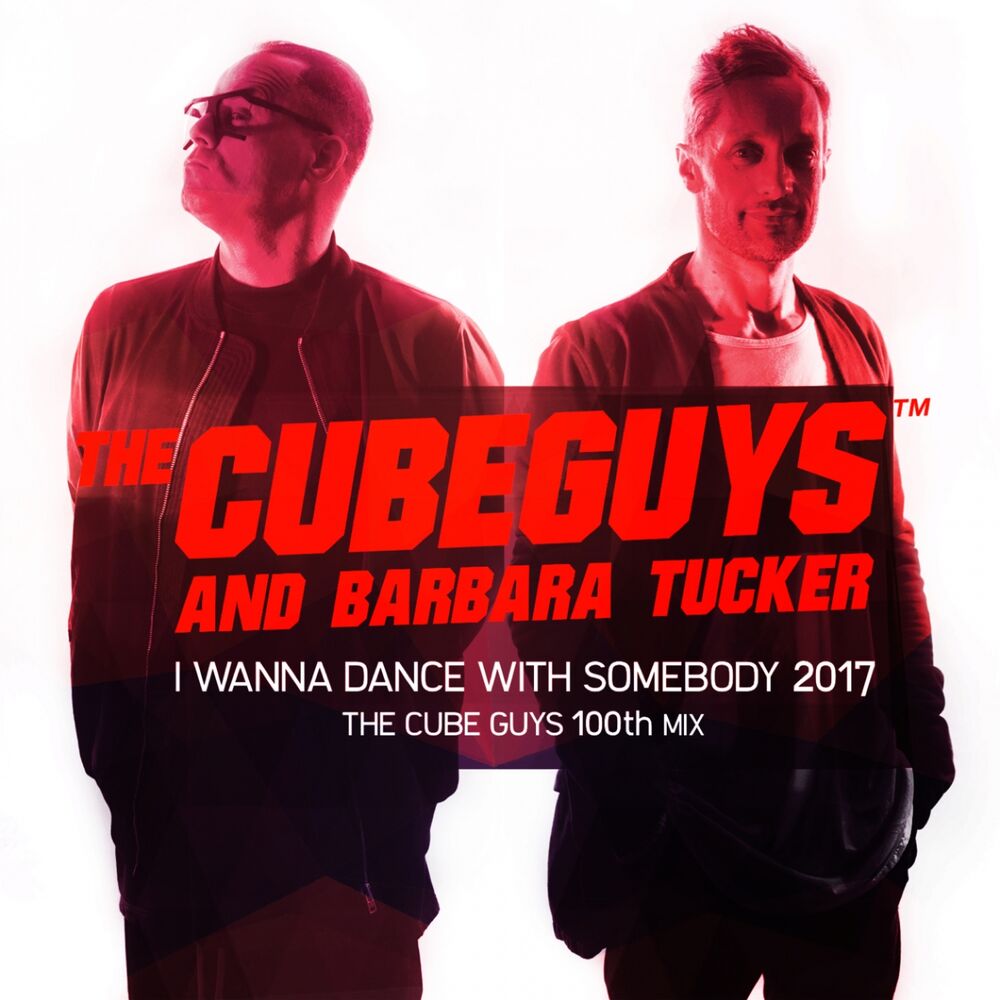 Picture of The Cube Guys