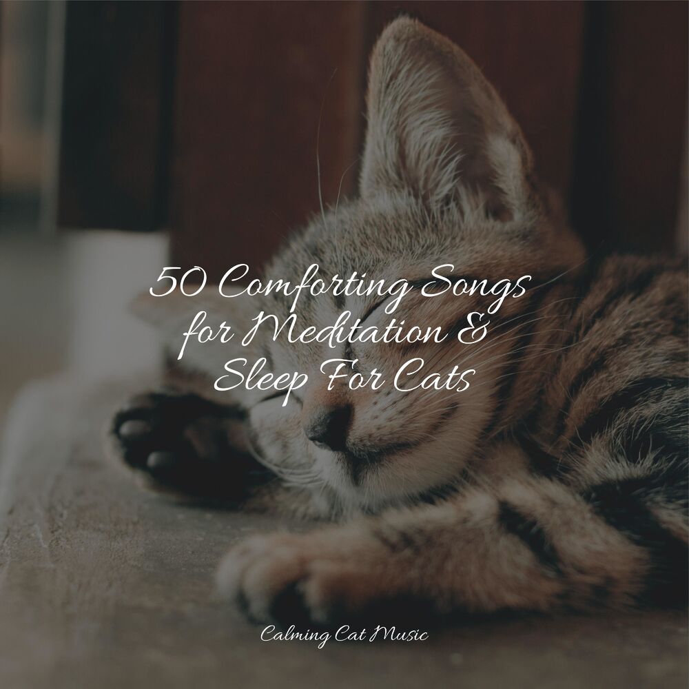 Picture of Jazz Music Therapy for Cats