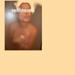 Picture of Selfsteam