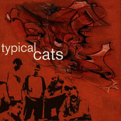 Picture of Typical Cats