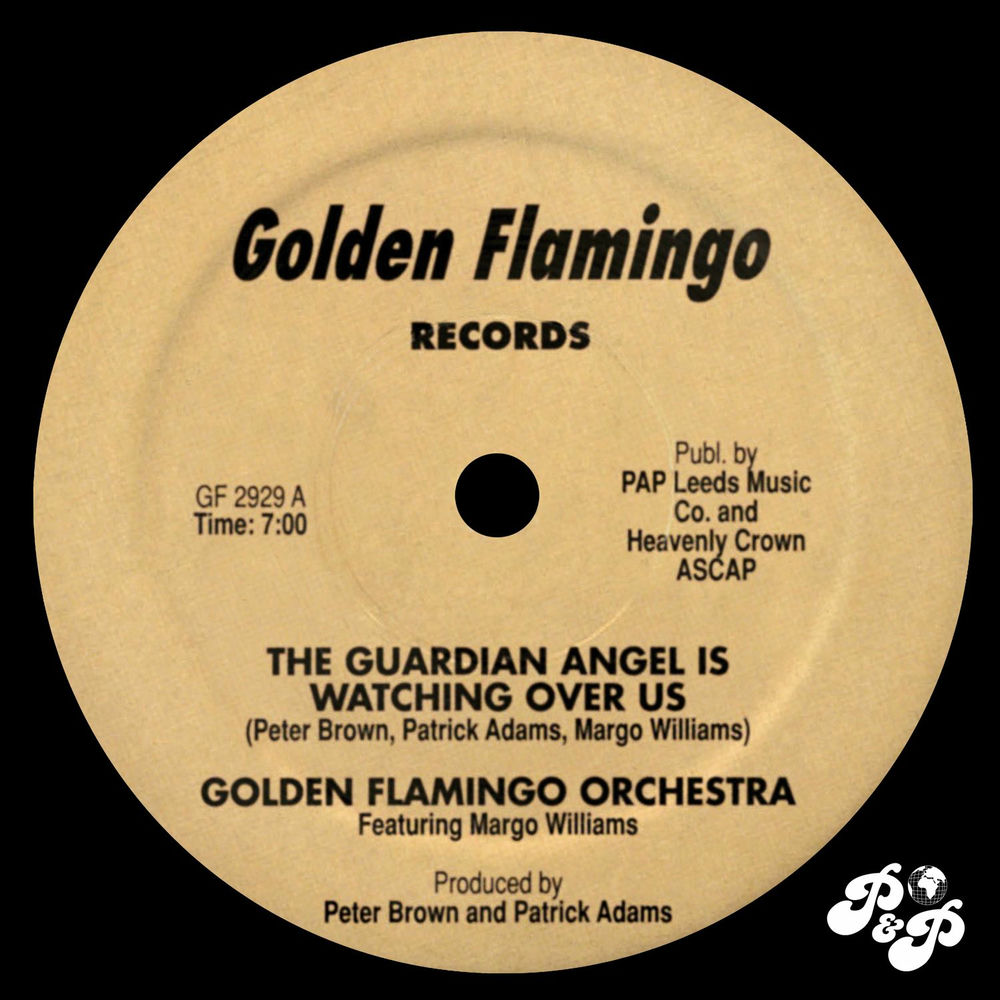 Photo de l'artiste Golden Flamingo Orchestra