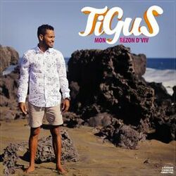 Picture of Tigus