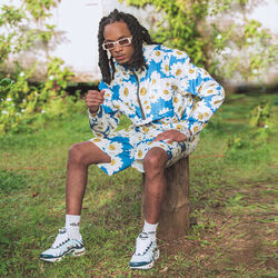 Picture of T-STONE
