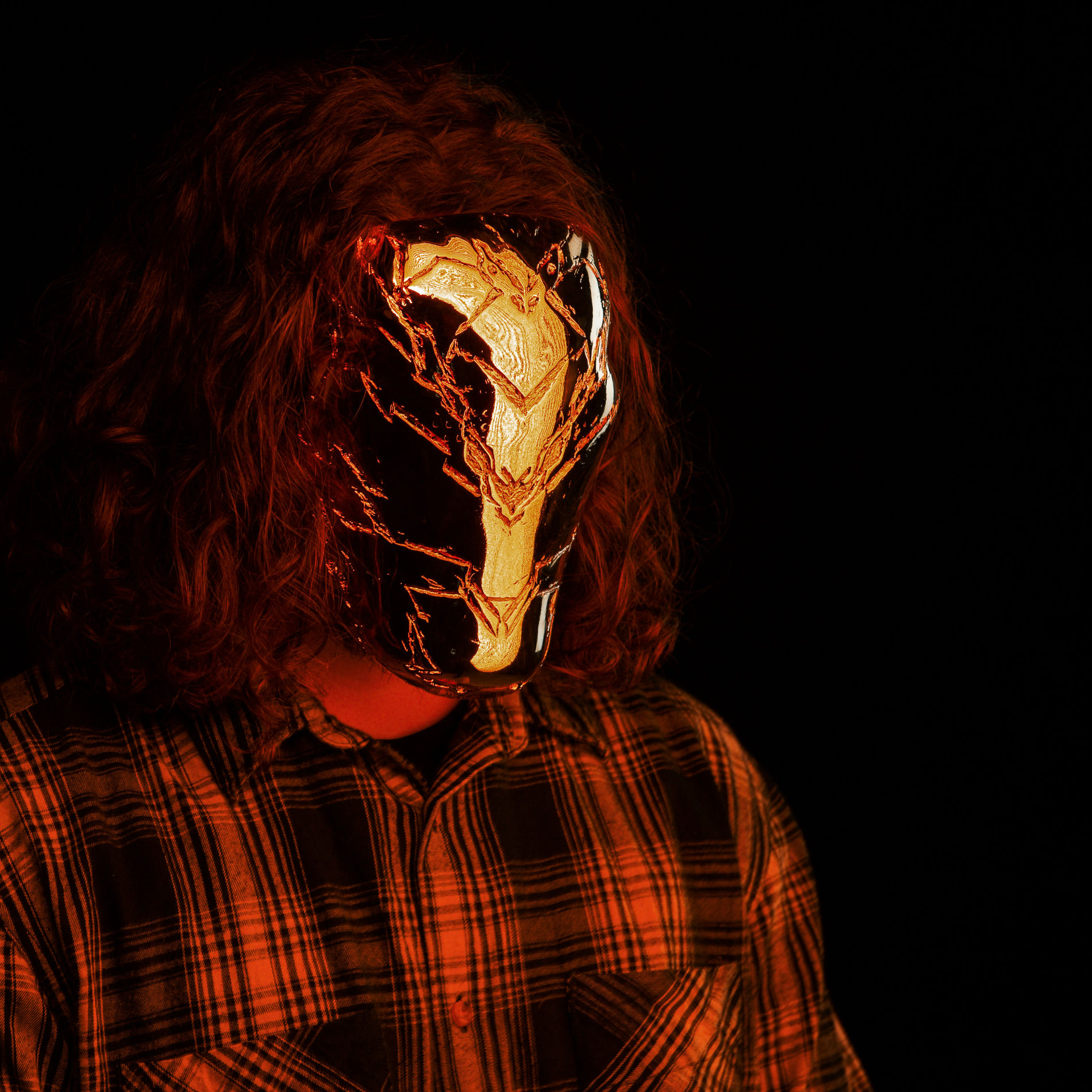 Artist picture of Golden Features