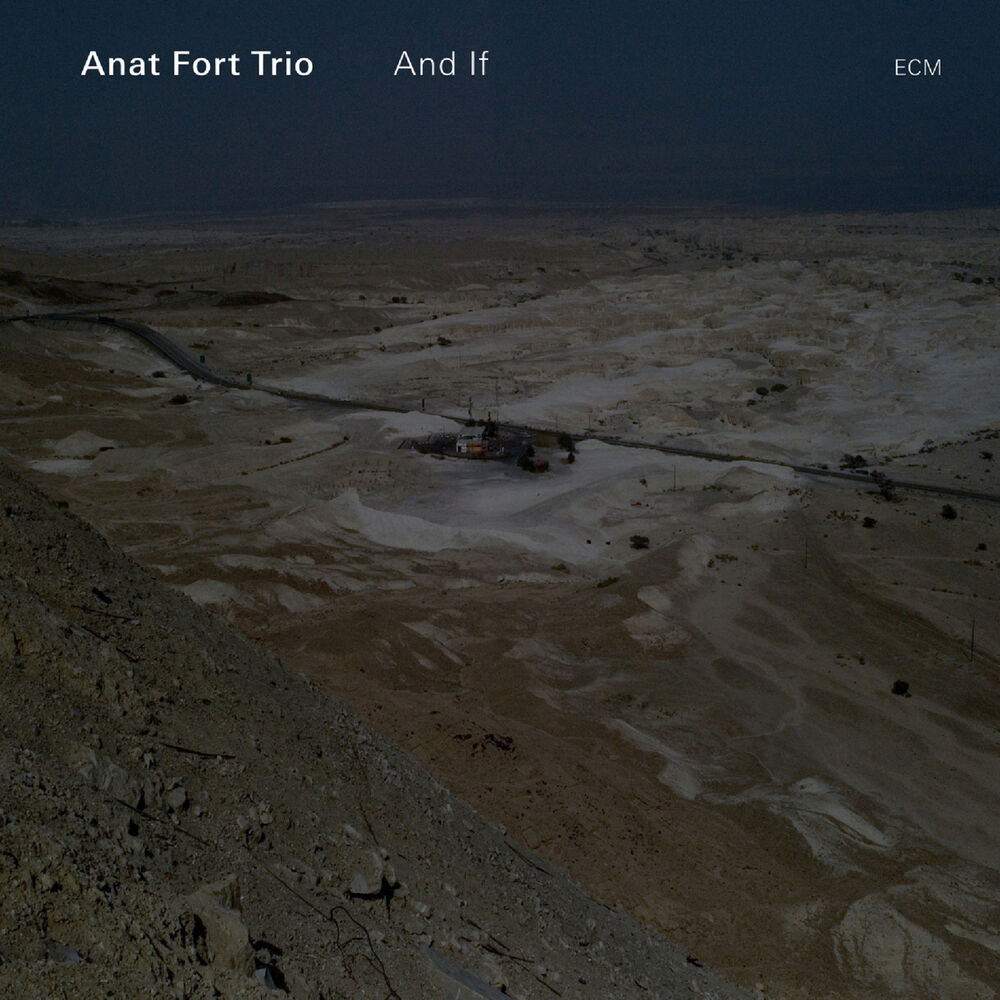 Picture of Anat Fort Trio