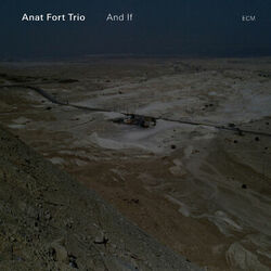 Picture of Anat Fort Trio