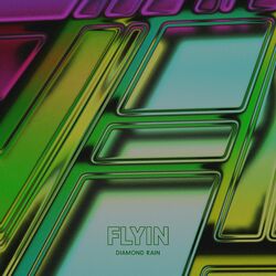 Picture of Flyin