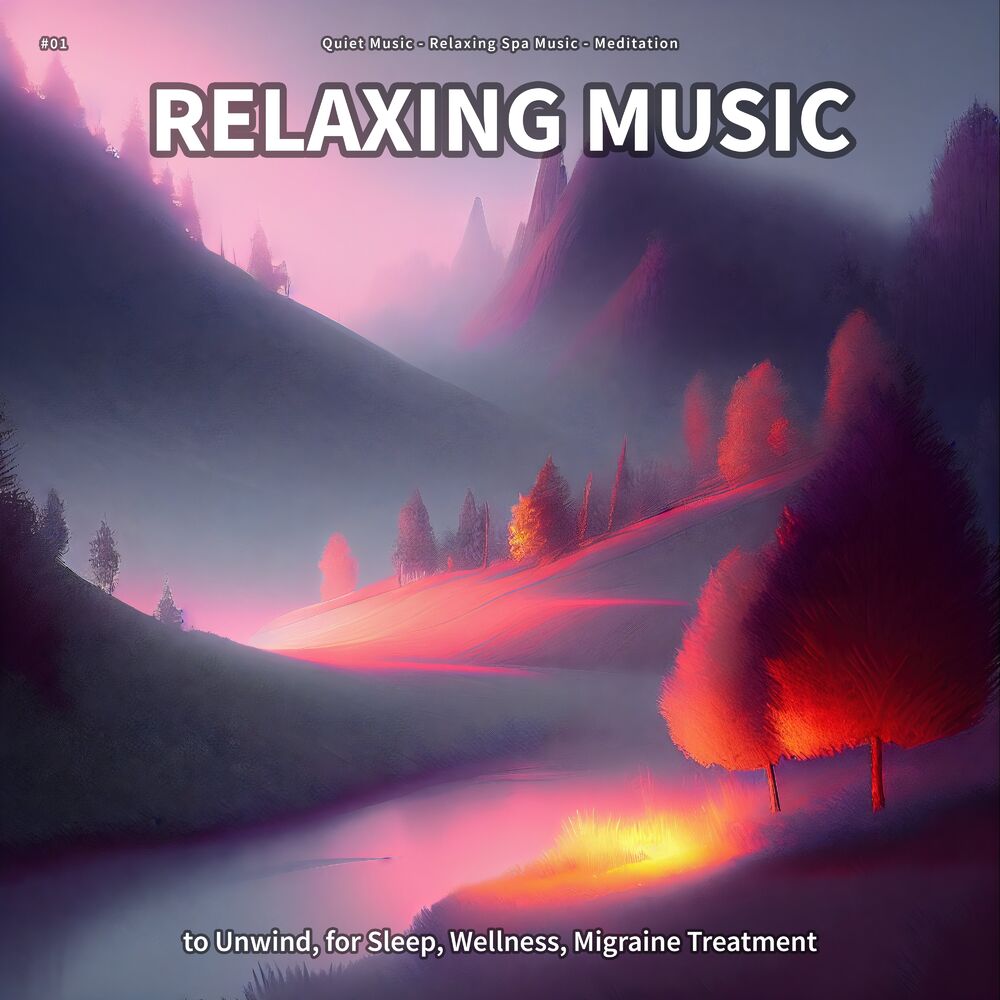 Picture of Quiet Music