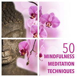 Picture of Nirvana Meditation School Master