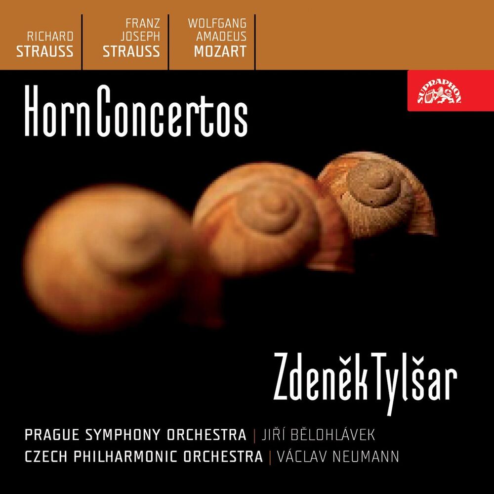 Picture of Zdenek Tylsar