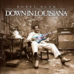 Picture of Bobby Rush