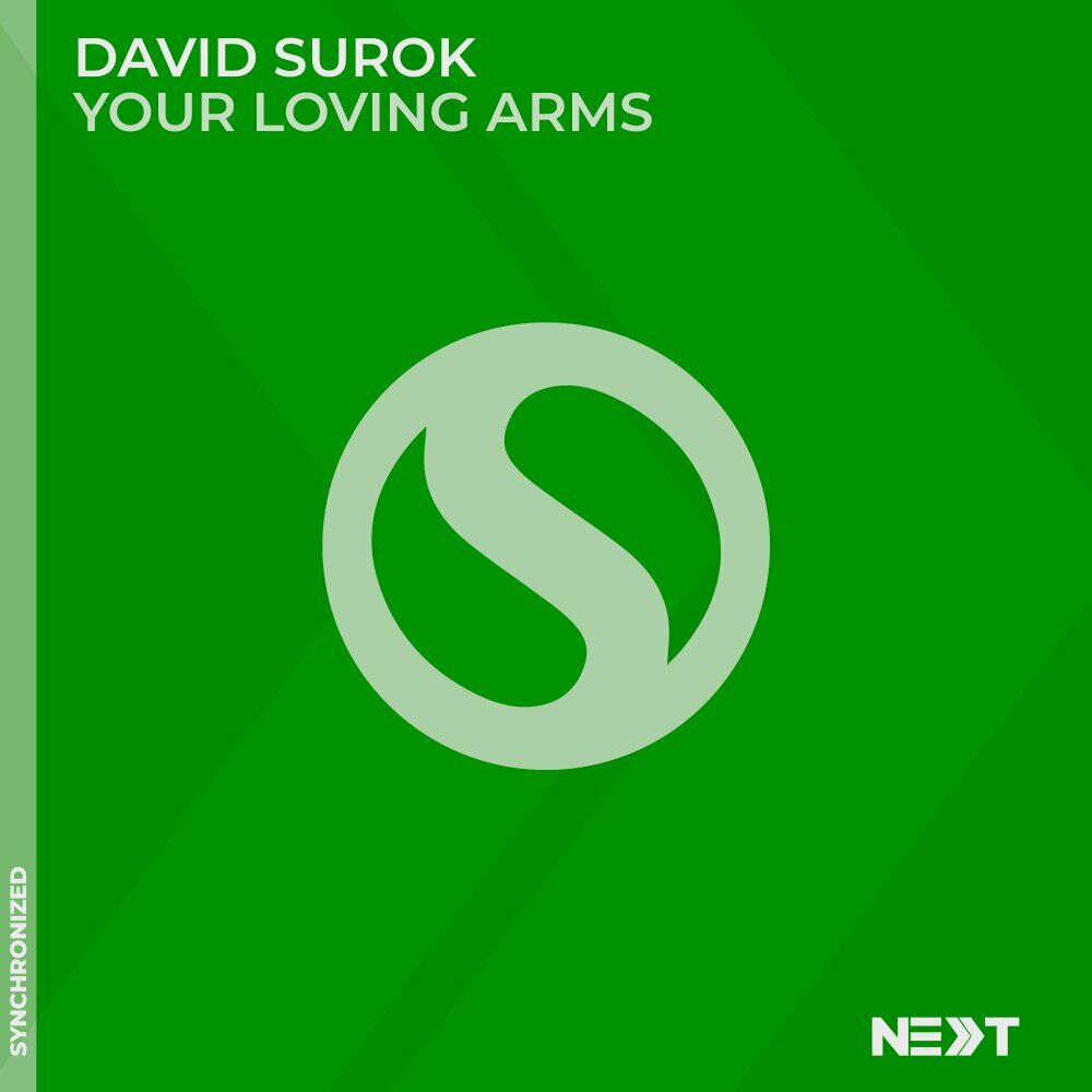 Picture of David Surok