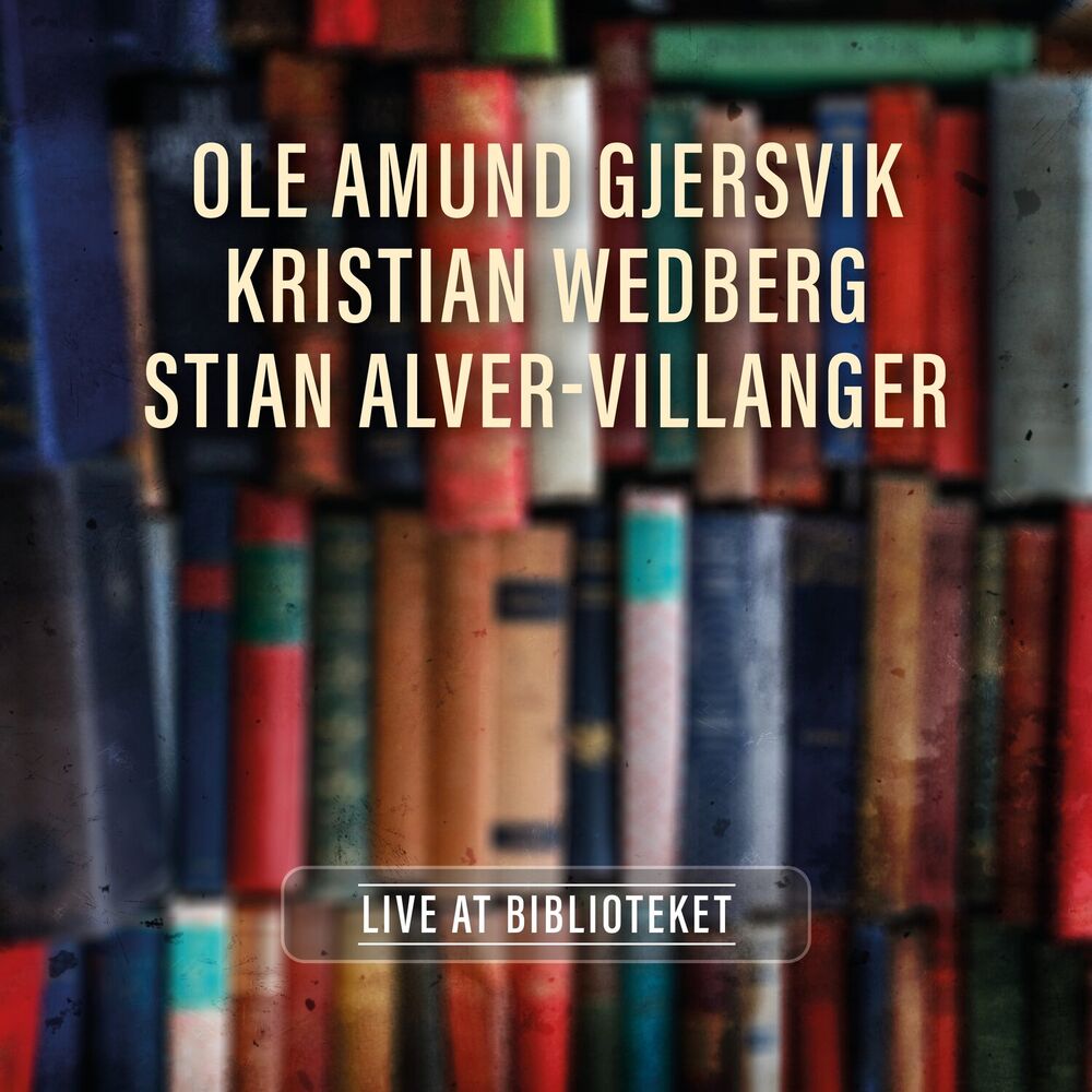 Picture of Stian Villanger