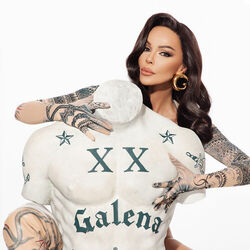 Picture of Galena