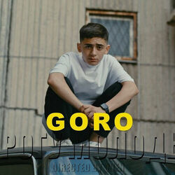 Picture of Goro