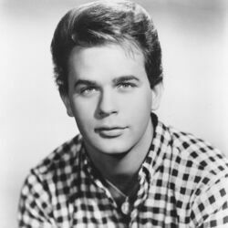 Picture of Lou Christie