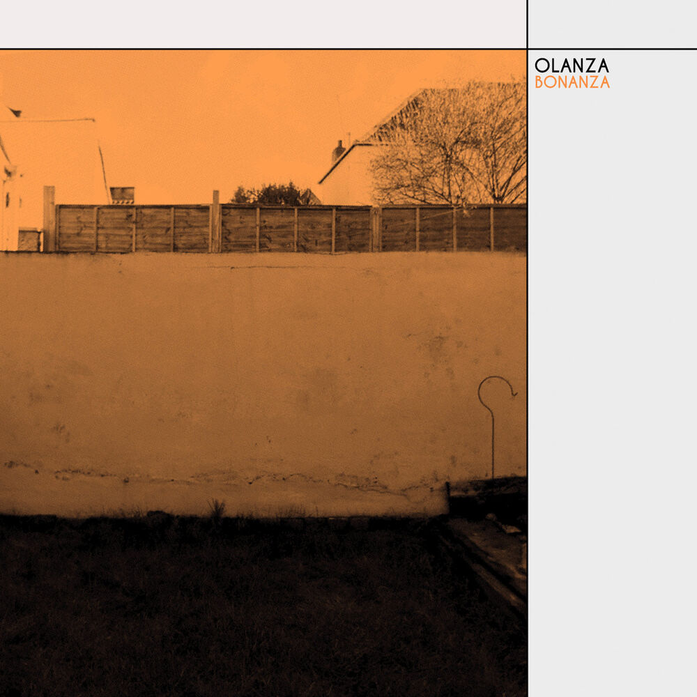 Picture of Olanza