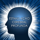 Musicas para Estudar Maestro