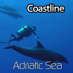 Picture of Coastline