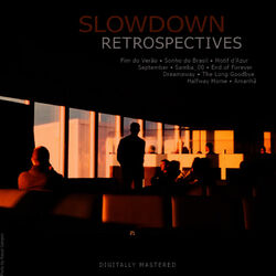 Picture of Slowdown