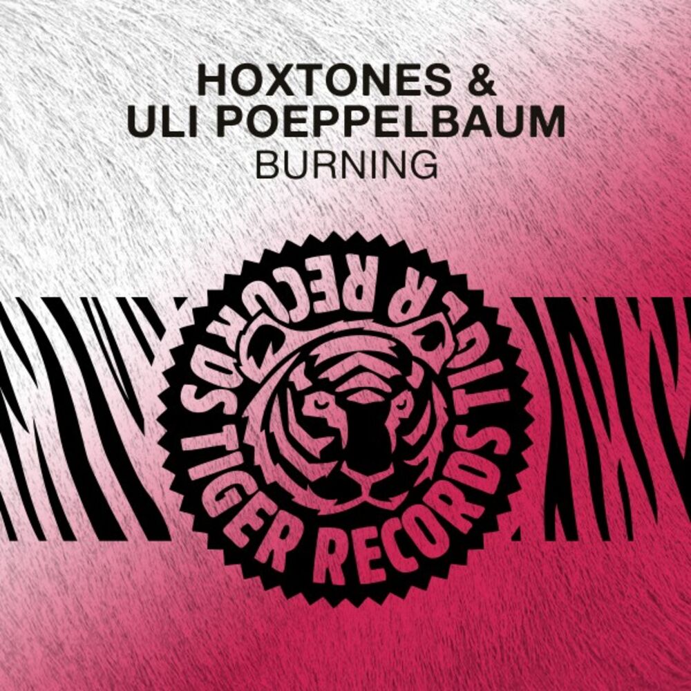 Picture of Hoxtones