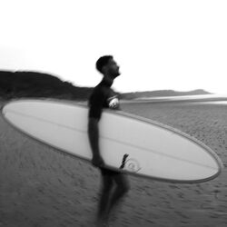 Picture of Lost In Pacific