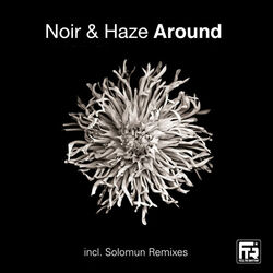 Noir & Haze