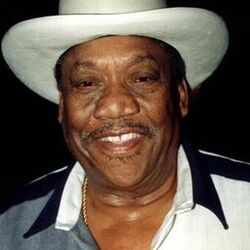 Picture of Bobby "Blue" Bland