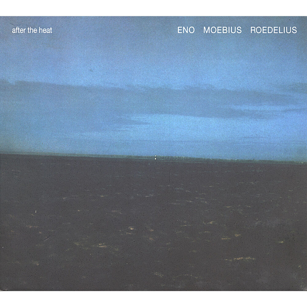 Picture of Roedelius