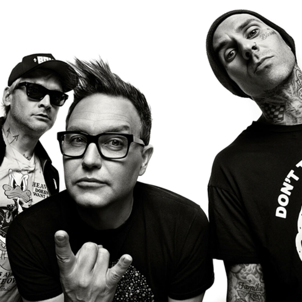 Picture of blink-182