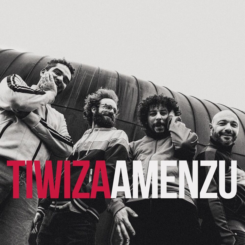 Picture of Tiwiza