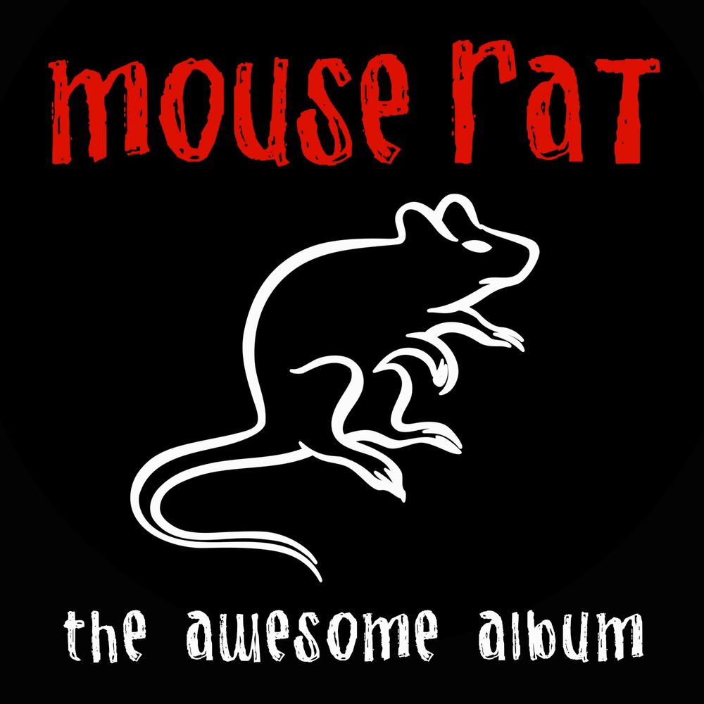 Picture of Mouse Rat