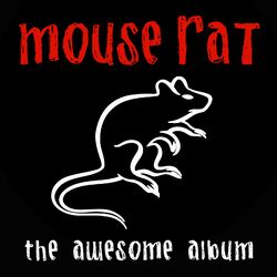 Picture of Mouse Rat