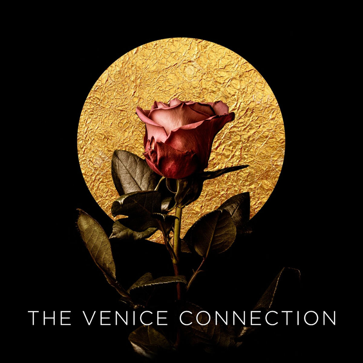 Artist picture of The Venice Connection