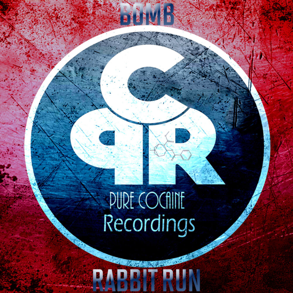 Picture of Rabbit Run